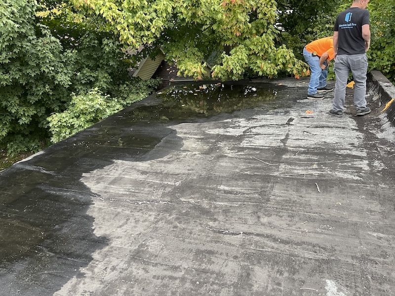 Roofing Waverly MI