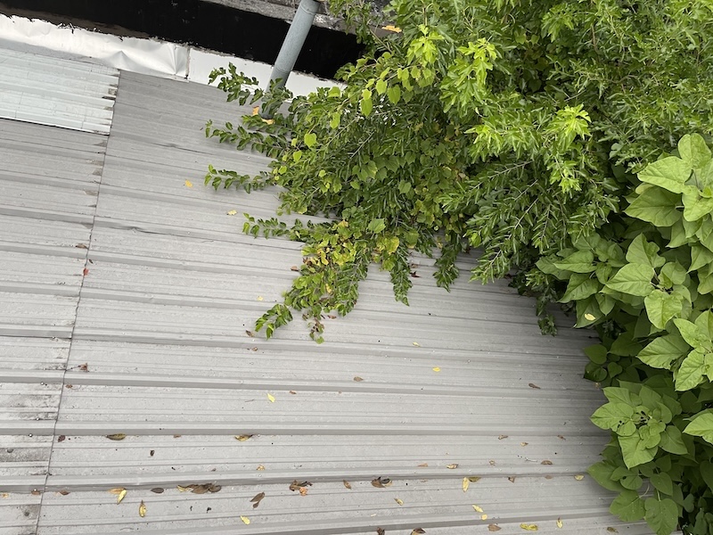  Home Roofing Grand Ledge MI